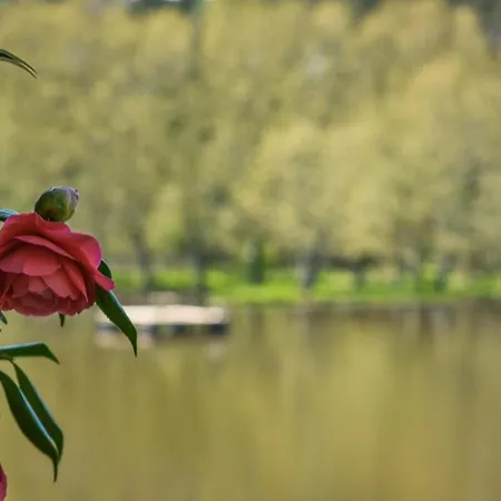 Villa Les Nympheas, Peaceful Haven & Private Pond *