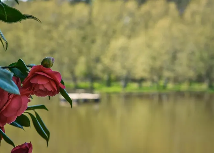 Villa Les Nympheas, Peaceful Haven & Private Pond *