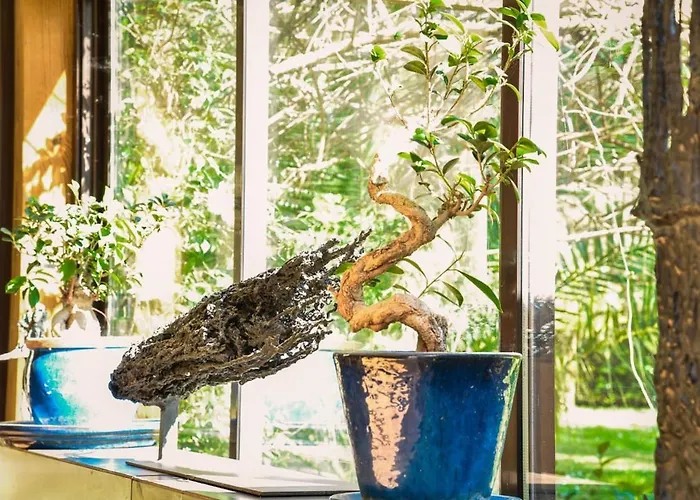 Villa Les Nympheas, Peaceful Haven & Private Pond